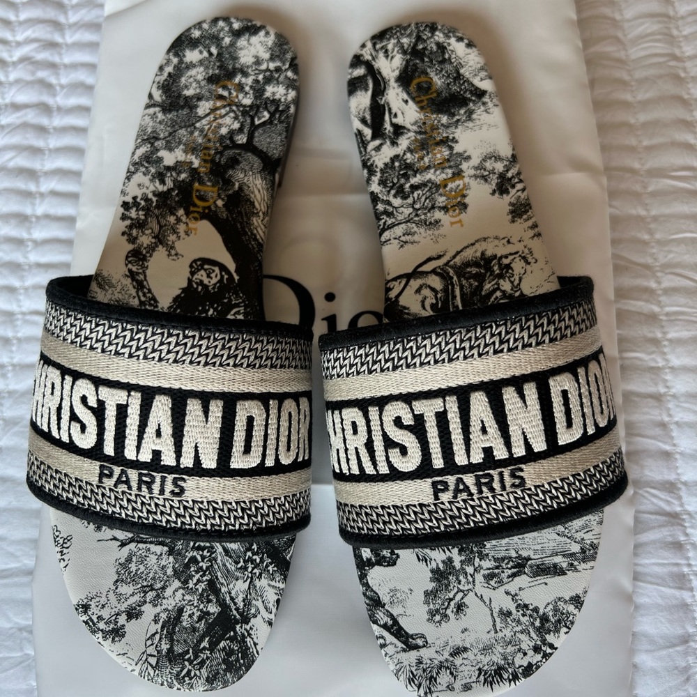Dior slides